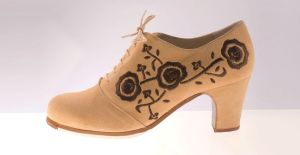 Flamenco shoes