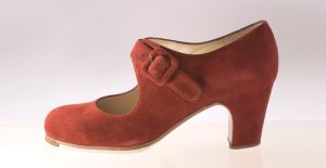 Flamenco shoes